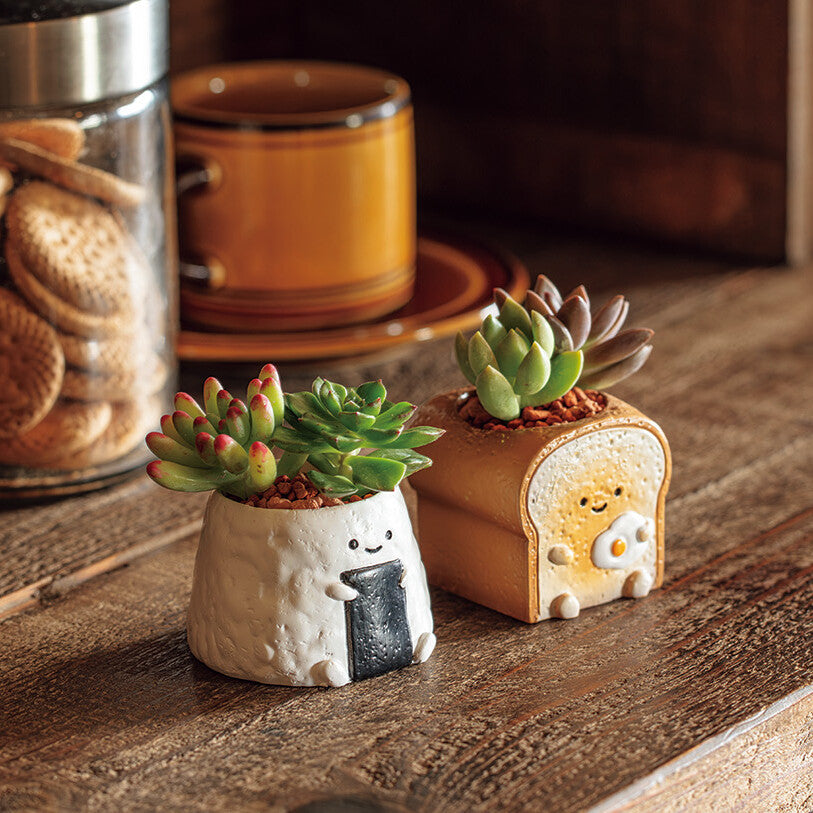 【拼肉肉】日式飯糰多肉植物盲盒(多肉一吋盆單入/多入組|療癒偽食物|辦公室吃貨必備|含盆土)多肉一吋盆