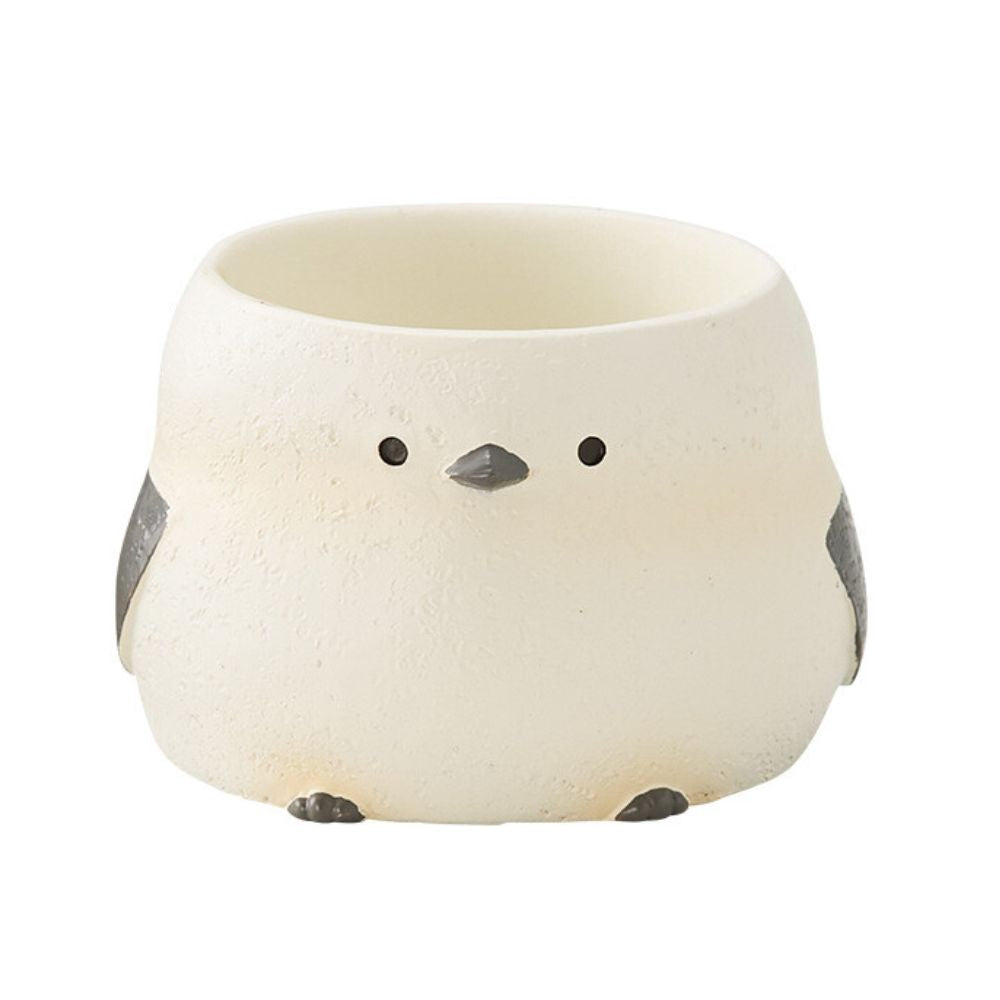 【肉肉動物園】-長尾山雀植物盲盒(單入/多入)多肉一吋盆