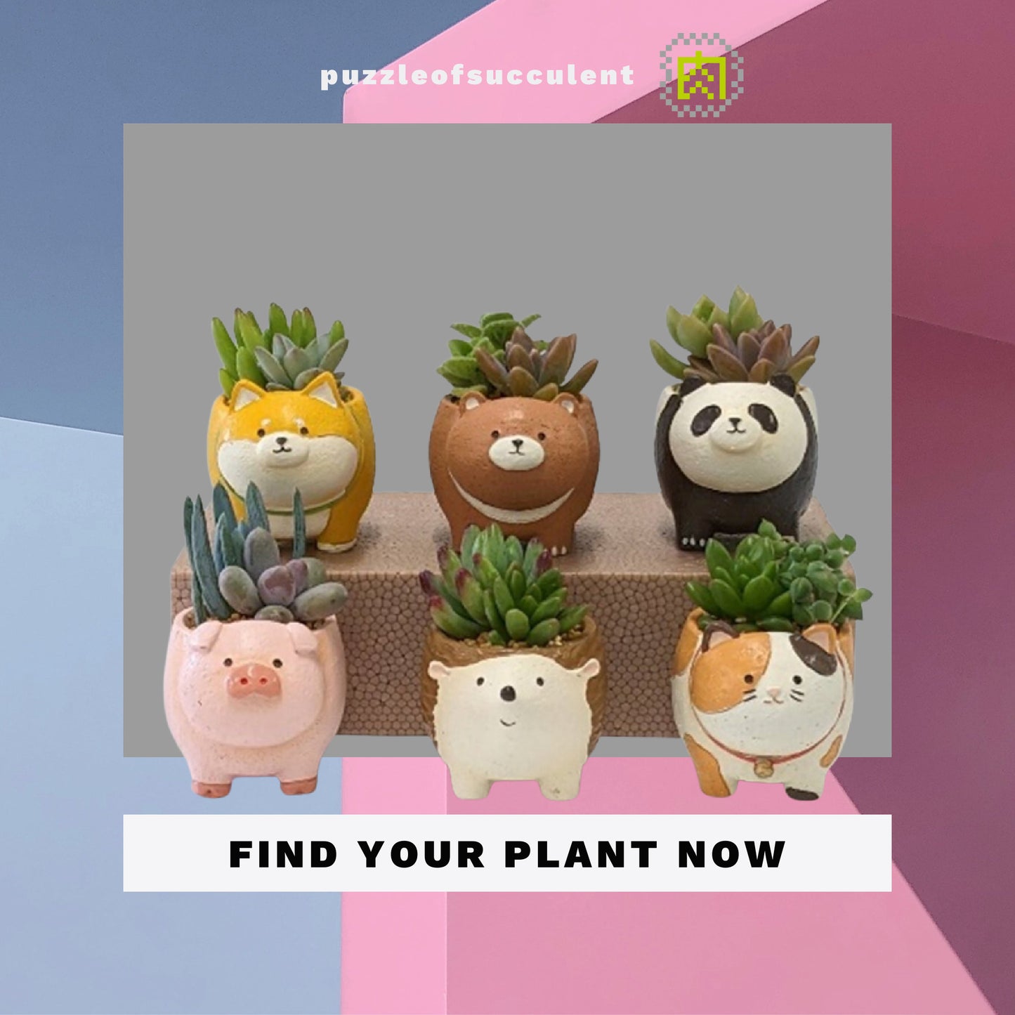 【Roulette Zoo】Stand Firm Series Complete Set: Creative Animal Flower Pots X6 Imported from Japan