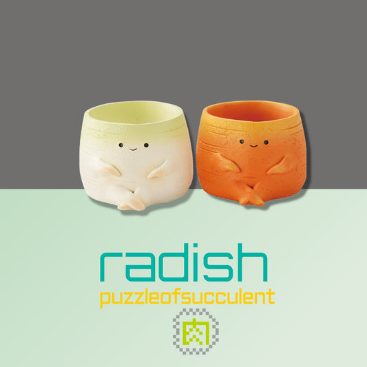 【肉肉植物園】紅白蘿蔔 多肉植物套組(總件數2) - 拼肉肉 Puzzle Of Succulent