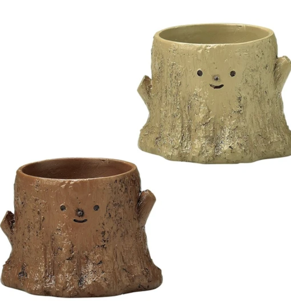 【拼肉肉聖誕限定】多肉植物樹樁組合 (聖誕圍巾版)