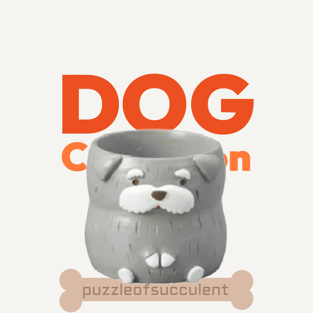 狗狗超值優惠大組(五種狗狗一次帶走)