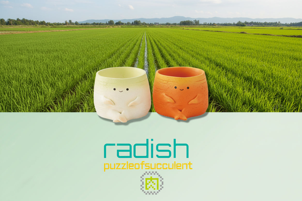 【肉肉植物園】紅白蘿蔔真實多肉植物盲盒 (2入組|好彩頭必備|微型盆栽|含盆土)