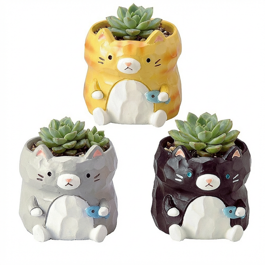 【肉肉動物園】魚你同行貓咪多肉花盆組合X3