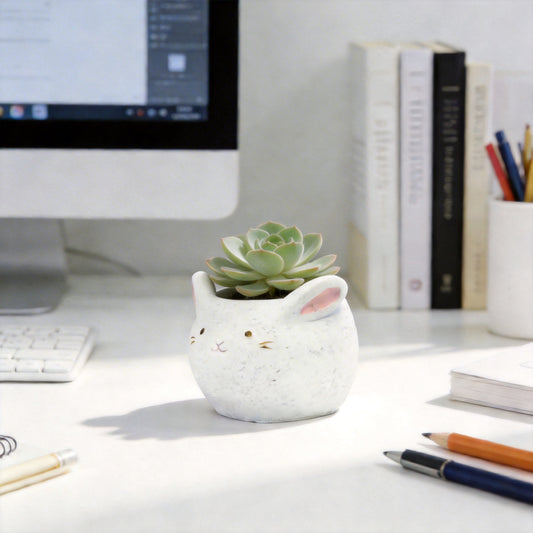 🐇 【肉肉動物園】軟萌玉兔 X 真實一吋多肉盲盒 (開箱即擺|辦公桌專屬溫柔守護|含盆土專業組裝)