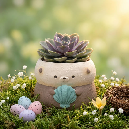 🦦 【拼肉肉】肉肉動物園!懶洋洋海獺 X 真實一吋多肉盲盒 (開箱即擺|辦公桌上的漂浮午茶|含盆土專業組裝)