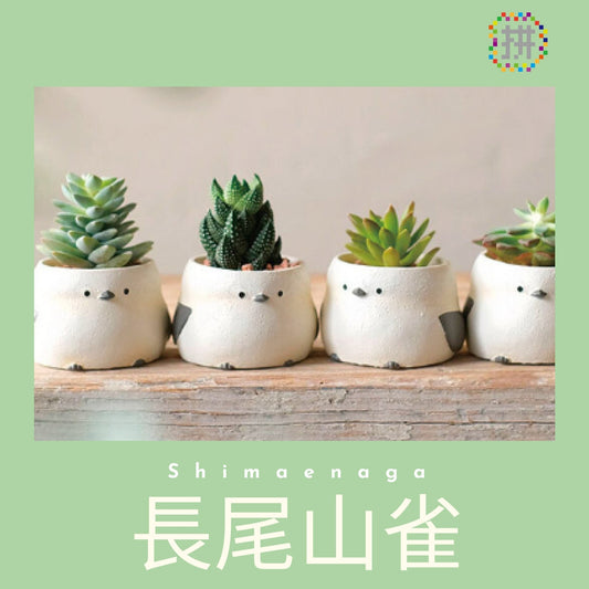 【肉肉動物園】 - 長尾山雀植物盲盒單隻 - 拼肉肉 Puzzle Of Succulent