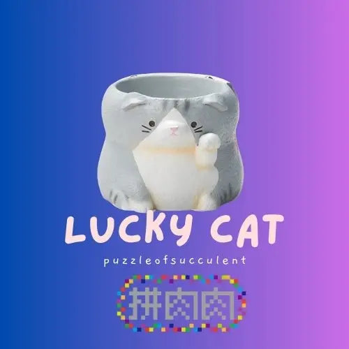 【肉肉動物園】招財貓咪多肉盲盒 - 拼肉肉 Puzzle Of Succulent
