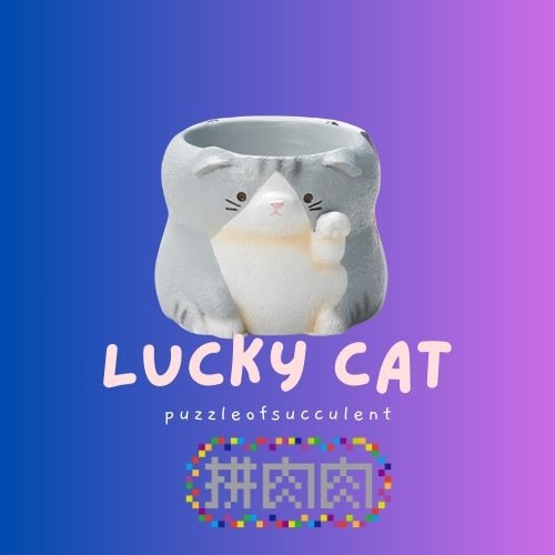 【肉肉動物園】招財貓咪多肉盲盒 - 拼肉肉 Puzzle Of Succulent