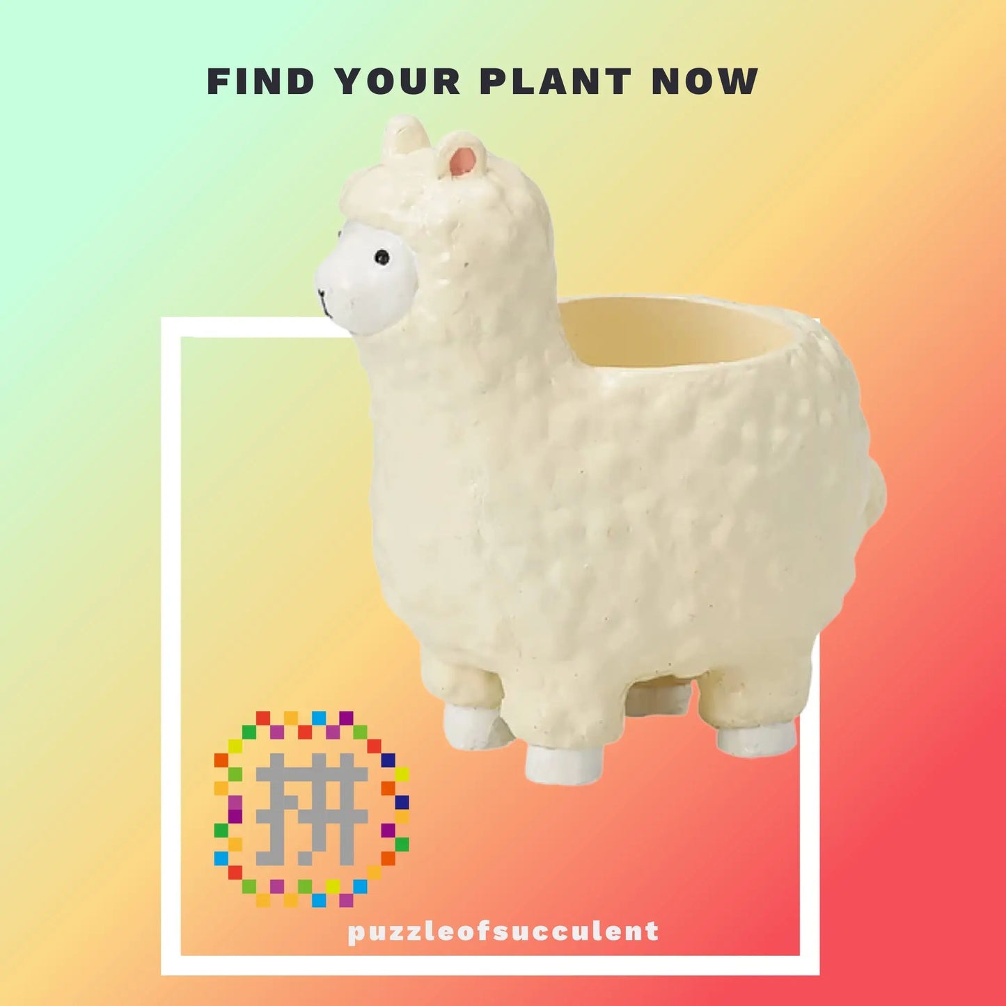 【肉肉大動物園】羊駝創意多肉花器,植物盲盒X1 - 拼肉肉 Puzzle Of Succulent