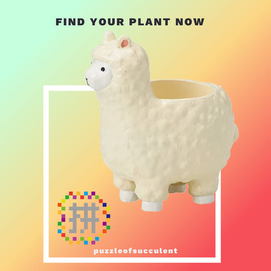 【肉肉大動物園】羊駝創意多肉花器,植物盲盒X1 - 拼肉肉 Puzzle Of Succulent