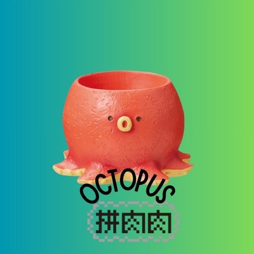 【肉肉大動物園】章魚多肉植物盲盒X1 - 拼肉肉 Puzzle Of Succulent