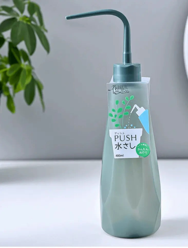 為什麼你需要這支「尖嘴澆水瓶」？新手變綠手指的秘密武器 💦 拼肉肉 Puzzle Of Succulent