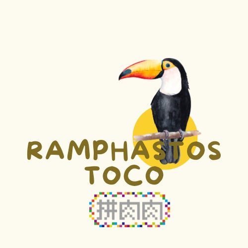 肉肉鳥園 - 拼肉肉 Puzzle Of Succulent