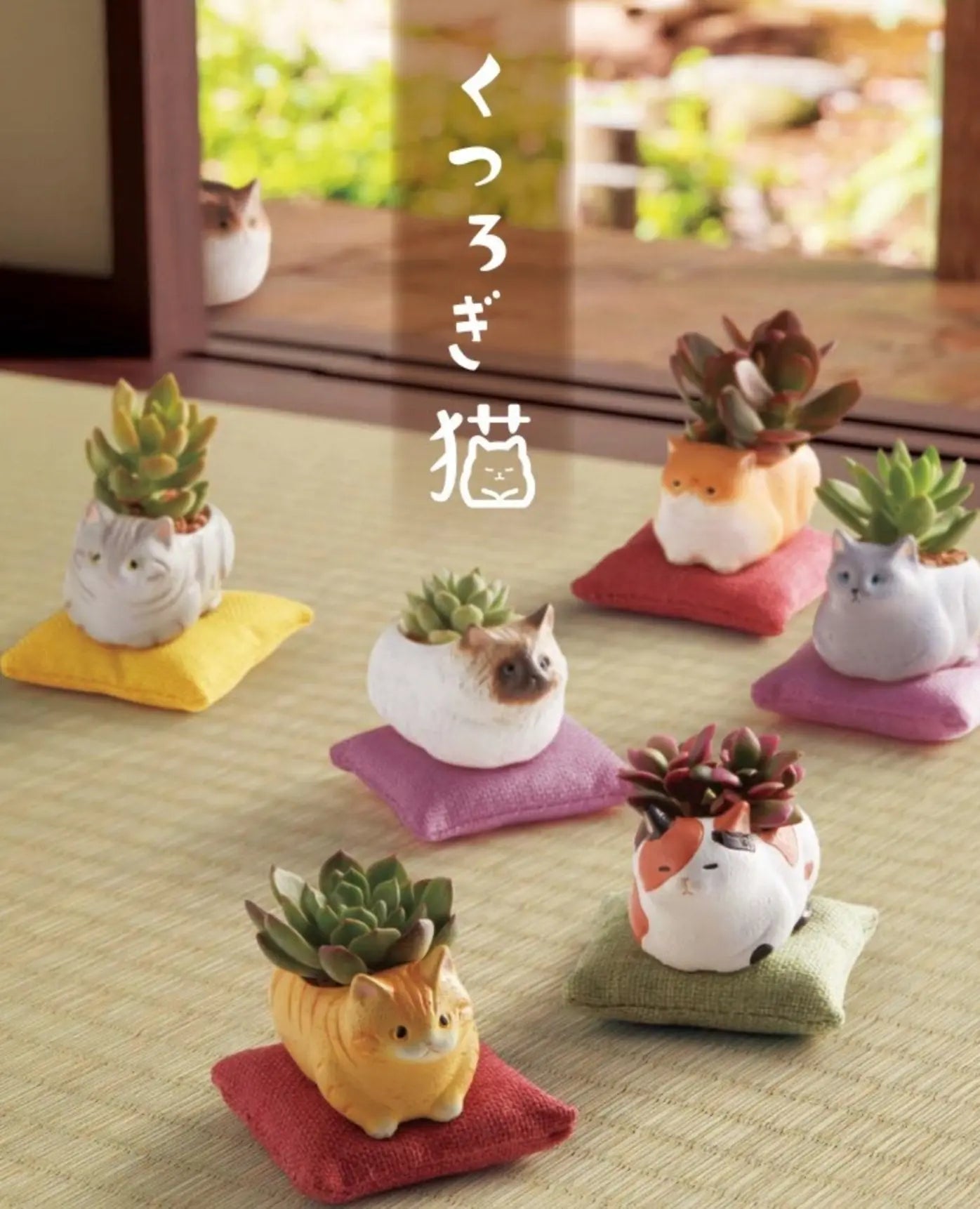 肉肉貓園 - 拼肉肉 Puzzle Of Succulent