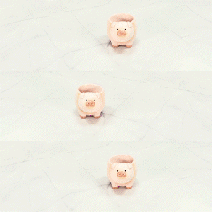 【肉肉動物園】站得穩系列盲盒單品