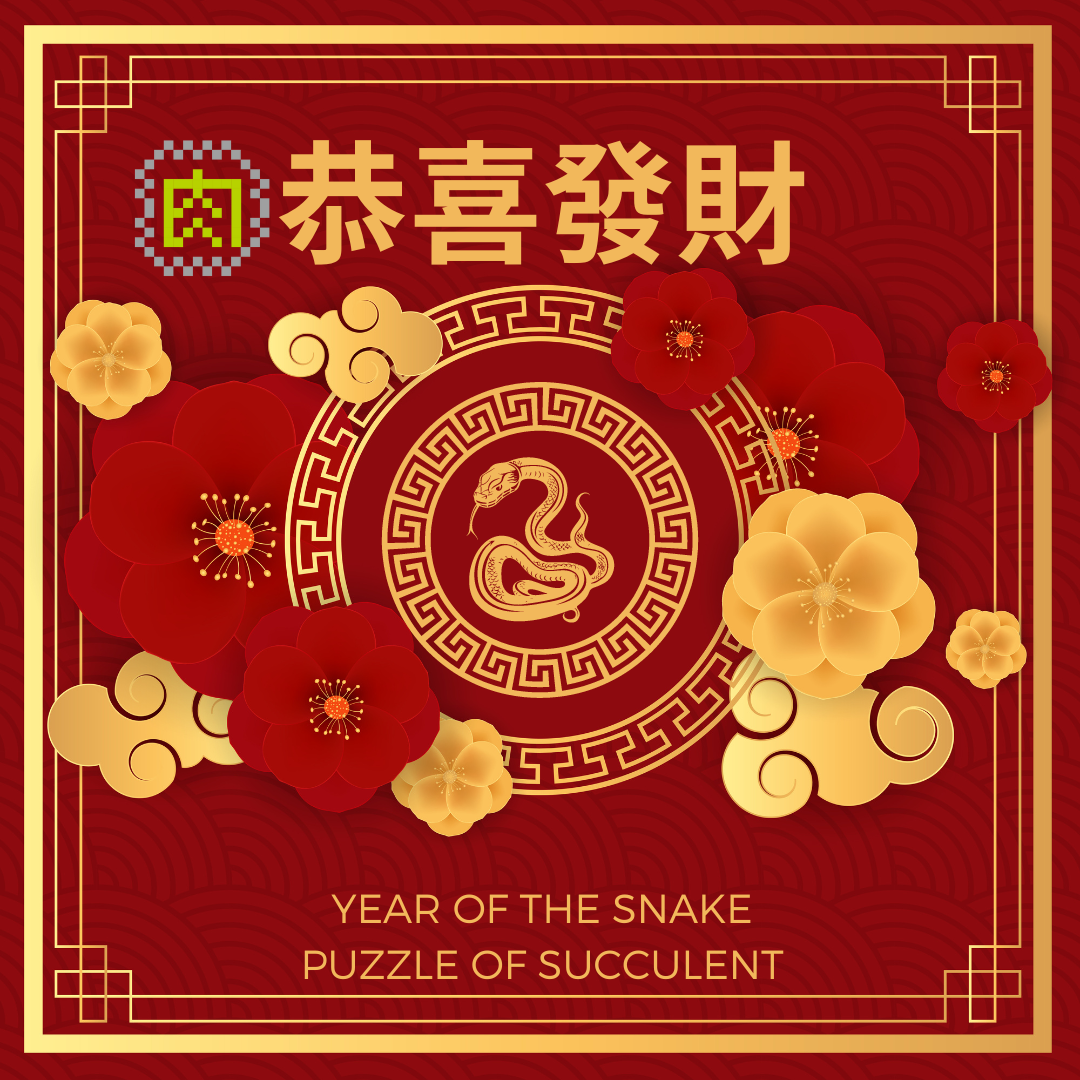 【Meaty Zoo】Limited sale of small golden snakes for fortune and luck in the Year of the Snake and succulent flower pots