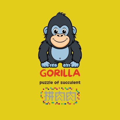 【肉肉動物園】-日本進口大猩猩多肉植物盲盒X2 每色各1