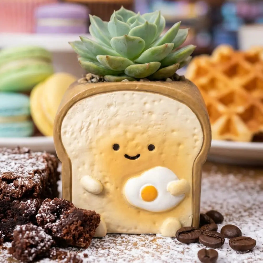 【肉肉甜點店】豪華全餐 🍰｜6道「0熱量」人氣甜點一次端上桌！ 拼肉肉 Puzzle Of Succulent