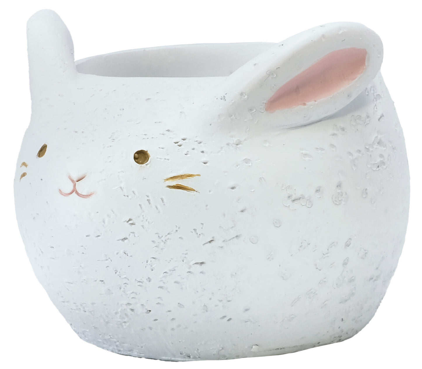 🐇 【肉肉動物園】軟萌玉兔 Ｘ 真實一吋多肉盲盒 (開箱即擺｜辦公桌專屬溫柔守護｜含盆土專業組裝)