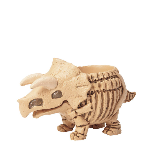 🦖 【肉肉玩具箱】三角龍化石 Ｘ 真實一吋多肉盲盒 (開箱即擺｜辦公桌上的侏羅紀探險｜含盆土專業組裝)