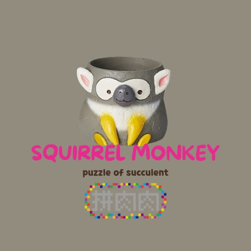 [Meaty Zoo] Sparrow Succulent Plant Blind Box, New Product Launched, Exclusively Sold on the Official Website