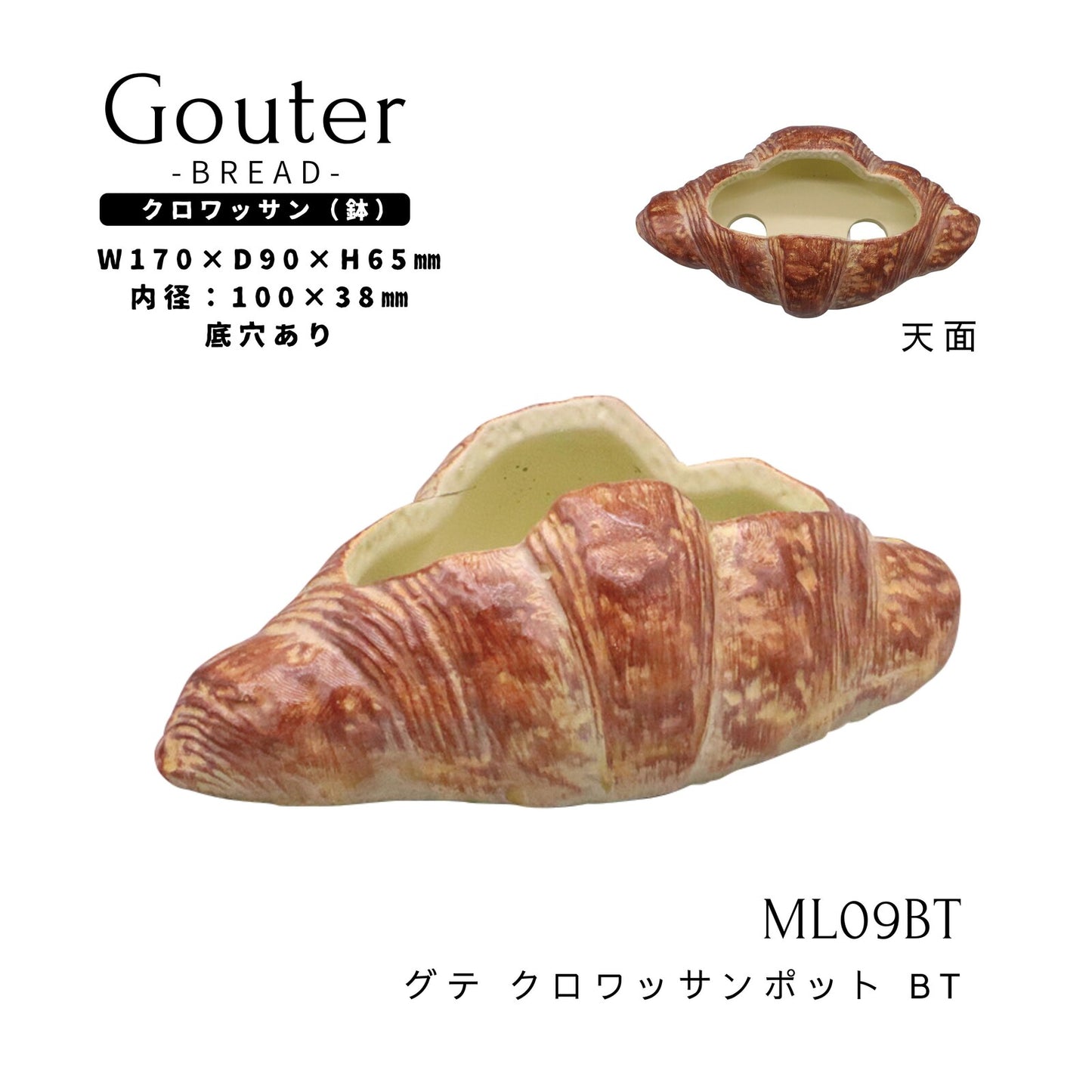 🥐 【拼肉肉】肉肉甜點店｜法式金黃可頌 Ｘ 真實多肉盲盒 (S/M尺寸任選｜零熱量的法式浪漫｜含盆土專業組裝)