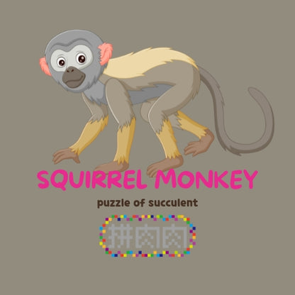 【肉肉動物園】松鼠猴多肉植物盲盒，新品上市官網獨家販售