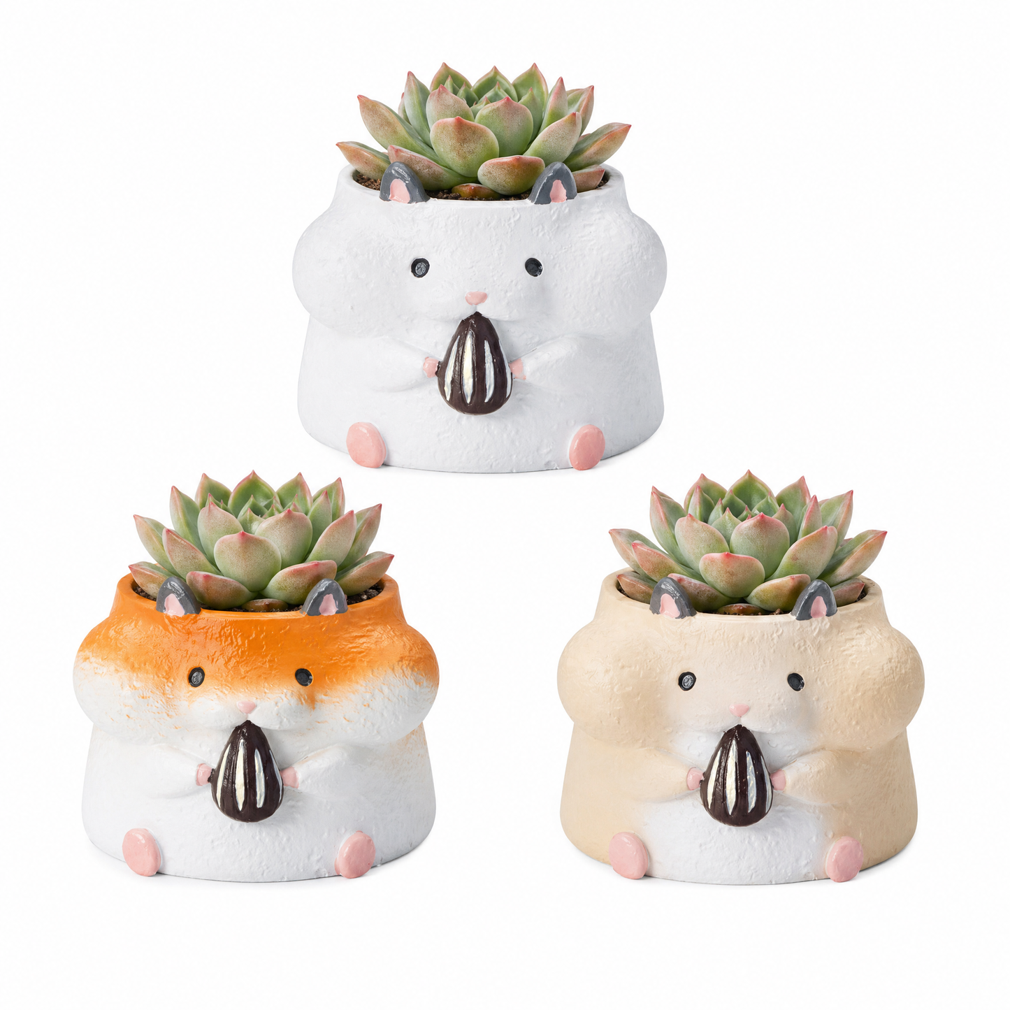 🐹🐿️ 【拼肉肉】四鼠來襲！松鼠 Ｘ 倉鼠 超萌多肉盲盒 (4款一次帶走｜鼠一鼠二的可愛｜含盆土專業組裝)