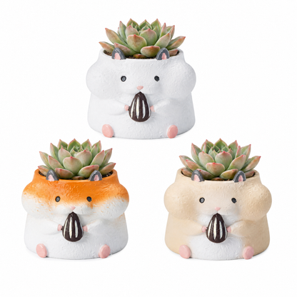 🐹🐿️ 【拼肉肉】四鼠來襲！松鼠 Ｘ 倉鼠 超萌多肉盲盒 (4款一次帶走｜鼠一鼠二的可愛｜含盆土專業組裝)
