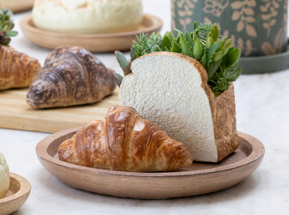 🥐 【拼肉肉】肉肉甜點店｜法式金黃可頌 Ｘ 真實多肉盲盒 (S/M尺寸任選｜零熱量的法式浪漫｜含盆土專業組裝)