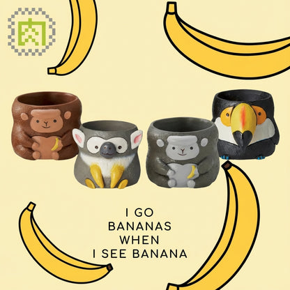 【亞馬遜叢林組合】把熱帶雨林搬到你的辦公桌！(4入組)