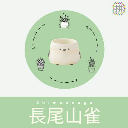 【肉肉動物園】-長尾山雀植物盲盒單隻