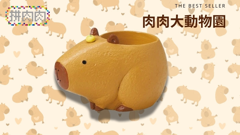 [Succulent Zoo] Orange Capybara Creative Succulent Flower Pot Blind Box