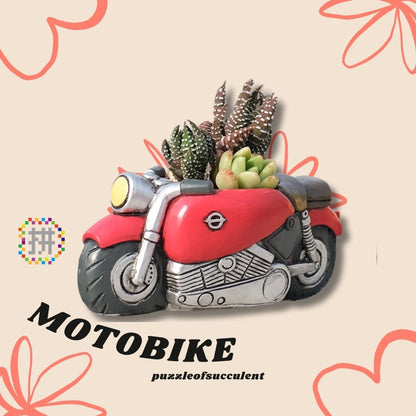 【肉肉玩具箱】復古摩托車多肉盲盒X2