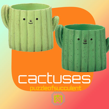 【肉肉植物園】-日本進口雙色仙人掌多肉植物盲盒