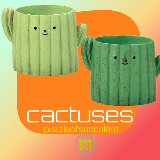 [Succulent Plant Garden]-Japanese imported two-color cactus succulent blind box X2