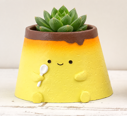 【肉肉甜點店】法式午茶派對！布丁多肉植物盲盒（多肉一吋盆）