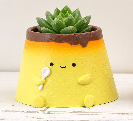 【肉肉甜點店】法式午茶派對！布丁多肉植物盲盒（多肉一吋盆）