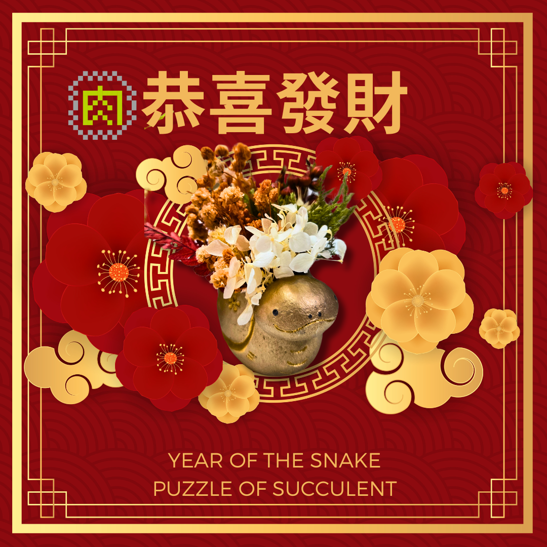 【Meaty Zoo】Limited sale of small golden snakes for fortune and luck in the Year of the Snake and succulent flower pots