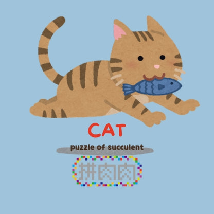 【肉肉動物園】魚你同行貓咪多肉花盆組合X3