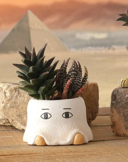 [Succulent Toy Box] Robot Succulent Two-color Plant Blind Box X2_1 of each color shipped