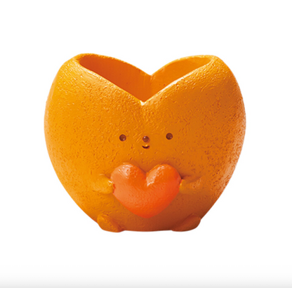 【肉肉玩具箱】把愛種出來！彩色愛心多肉花盆