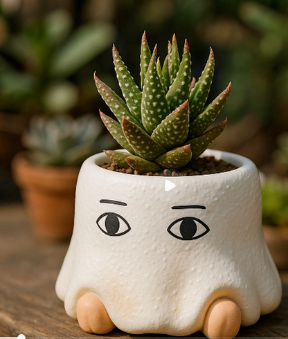 [Succulent Toy Box] Robot Succulent Two-color Plant Blind Box X2_1 of each color shipped