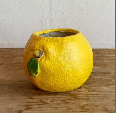 🍋 【肉肉植物園】仲夏樂園！鮮黃巨萌檸檬 Ｘ 夢幻多肉多重奏 (少數大盆限量版｜開箱即擺｜專業多肉拼盤種植到好)