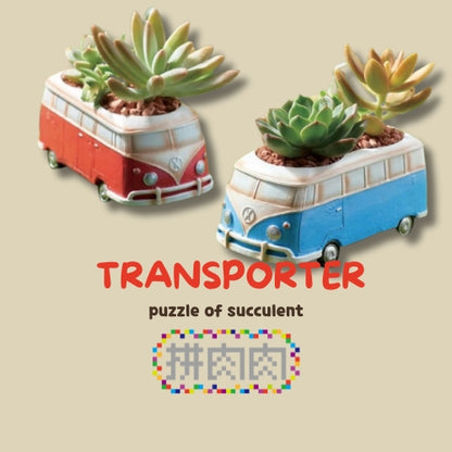 【肉肉玩具箱】復古旅行車多肉盲盒X2