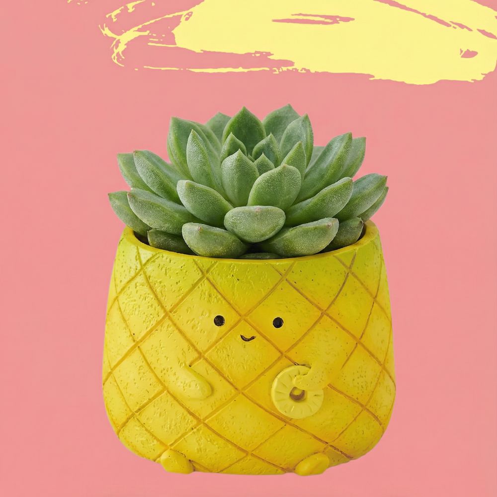 【肉肉植物園】好運旺來！鳳梨多肉植物盲盒 (單入/多肉組｜招財開運｜辦公室桌寵｜DIY療癒植栽)