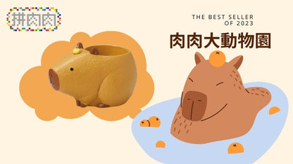 【肉肉大動物園】橘子水豚君創意多肉花器盲盒