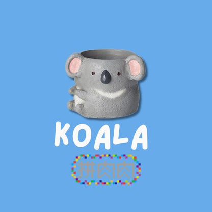 【肉肉動物園】澳洲無尾熊多肉植物盲盒 新品拼肉肉官網獨售