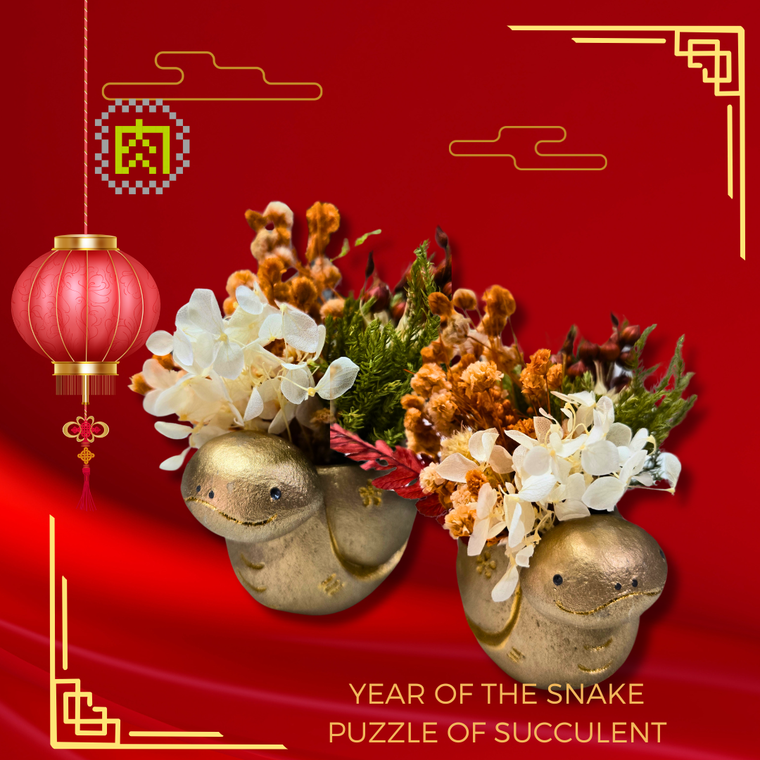 【Meaty Zoo】Limited sale of small golden snakes for fortune and luck in the Year of the Snake and succulent flower pots